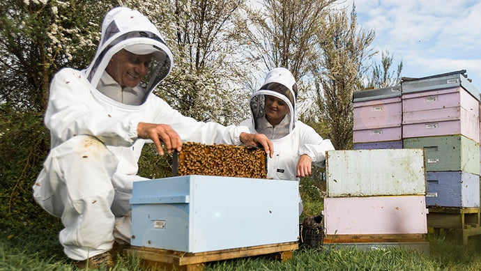 Comvita Beekeeper Spotlight: Meet Kelly
