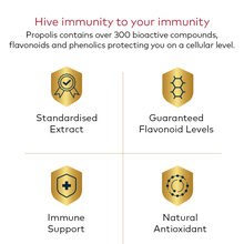 Load image into Gallery viewer, Immune Bee™ Propolis High Strength PFL™ 30 (90 Veg Capsules)