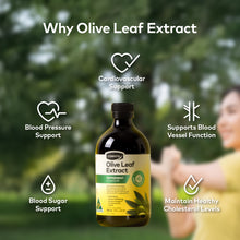 Load image into Gallery viewer, Olive Leaf Extract - Natural Flavor, 500 ml.