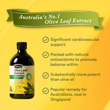 Load image into Gallery viewer, Olive Leaf Extract - Peppermint Flavor, 500 ml.