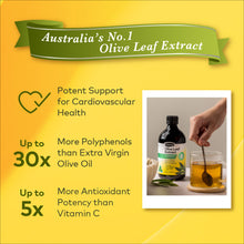 Load image into Gallery viewer, Olive Leaf Extract - Peppermint Flavor, 500 ml.
