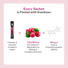 Load image into Gallery viewer, Cranberry Probiotics Manuka Honey Drink, 15 Sachets