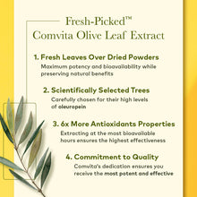 Load image into Gallery viewer, Olive Leaf Extract - Natural Flavor, 500 ml.