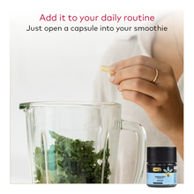 Load image into Gallery viewer, Immune Bee™ Propolis High Strength PFL™ 30 (30 Veg Capsules)