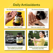 Load image into Gallery viewer, Olive Leaf Extract caps (High Strength), 60 caps.