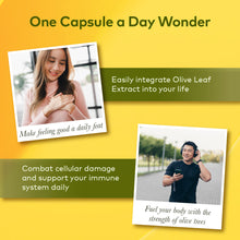 Load image into Gallery viewer, Olive Leaf Extract caps (High Strength), 60 caps.