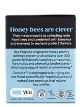 Load image into Gallery viewer, Immune Bee™ Propolis Regular Strength PFL™ 15 (30 Veg Capsules)