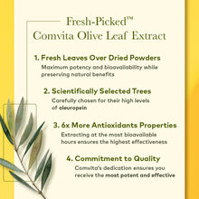 Load image into Gallery viewer, Olive Leaf Extract - Mixed Berry Flavor, 500 ml.
