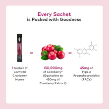 Load image into Gallery viewer, Cranberry Probiotics Manuka Honey Drink, 15 Sachets

