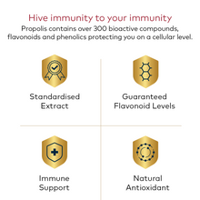 Load image into Gallery viewer, Immune Bee™ Propolis High Strength PFL™ 30 (30 Veg Capsules)
